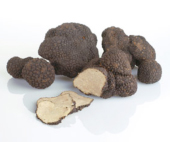 tartufo